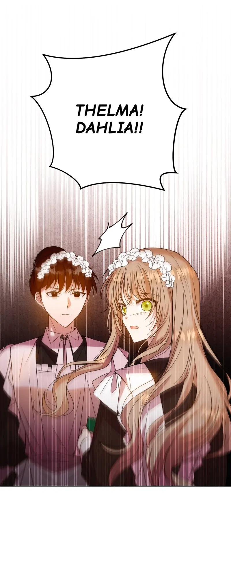 46528915 800 2000 104314