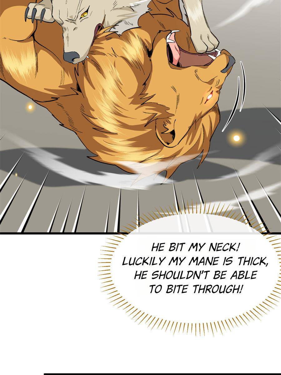 81490554 900 1200 122014